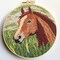 DIY Punch Needle Kit – Brown Horse in Green Grass Embroidery Set for Beginners with Hoop, 20x20cm Handmade Wall Art Craft for Stress Relief and Home Decor